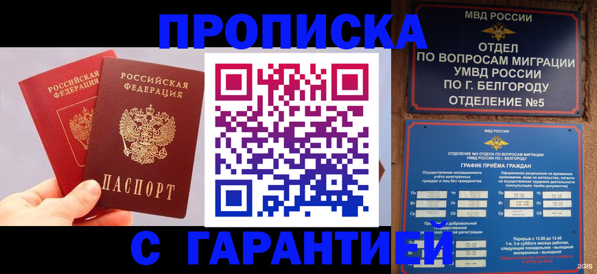 прописка 2025 в Заозёрске